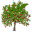 WinDirStat
