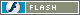 Flash